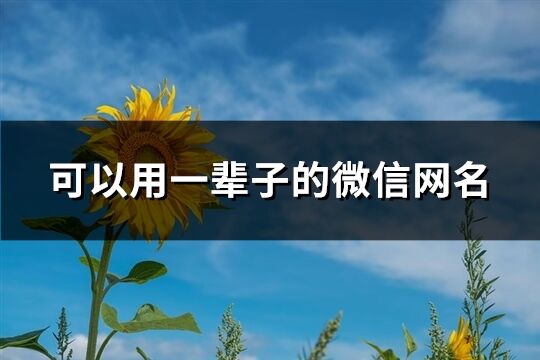 可以用一辈子的微信网名(精选302个)