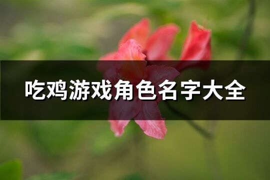 吃鸡游戏角色名字大全(共219个)