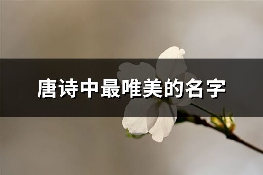 唐诗中最唯美的名字(73个)