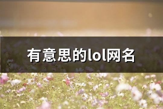 有意思的lol网名(共146个)