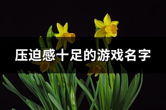 压迫感十足的游戏名字(共209个)