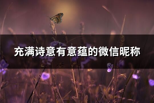 充满诗意有意蕴的微信昵称(249个)