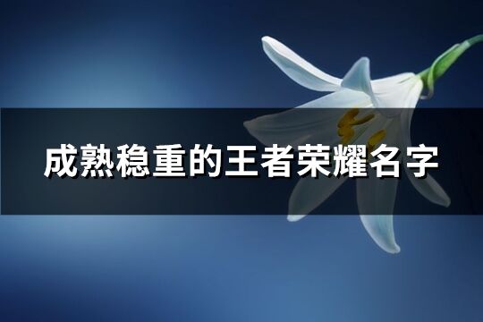 成熟稳重的王者荣耀名字(共350个)