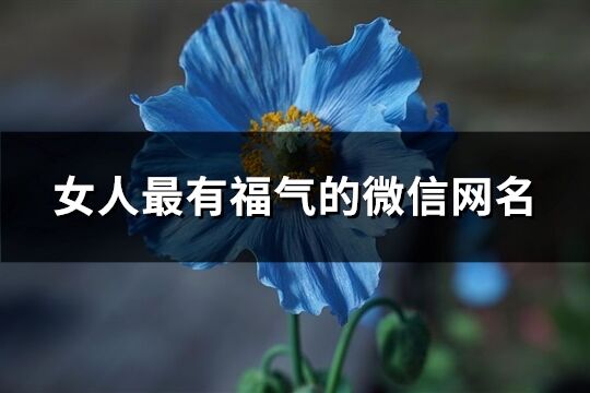 女人最有福气的微信网名(共981个)