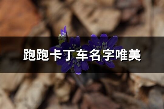 跑跑卡丁车名字唯美(251个)