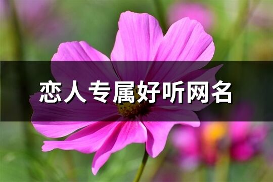 恋人专属好听网名(精选232个)