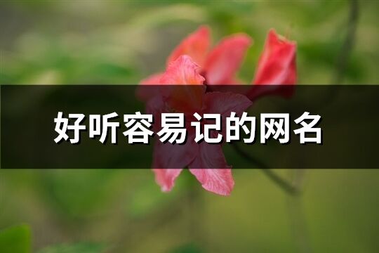 好听容易记的网名(共366个)