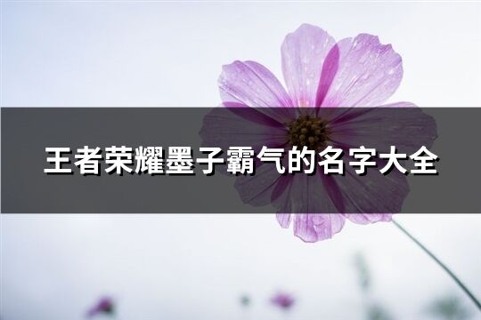 王者荣耀墨子霸气的名字大全(共70个)