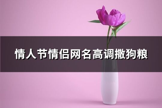 情人节情侣网名高调撒狗粮(73个)