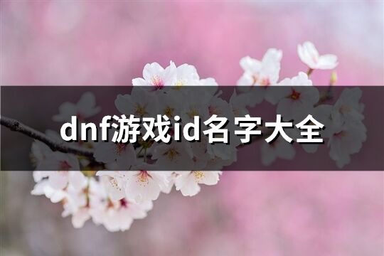 dnf游戏id名字大全(691个)