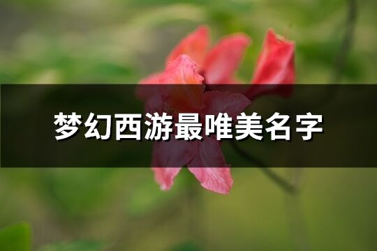 梦幻西游最唯美名字(共852个)