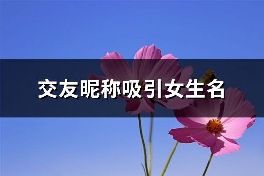 交友昵称吸引女生名(共156个)