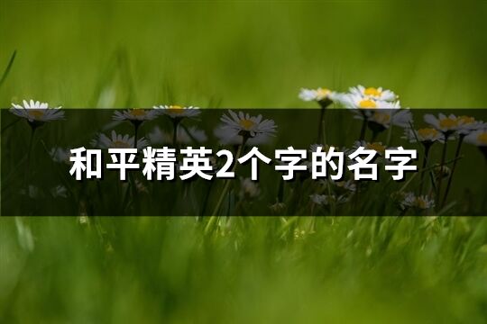 和平精英2个字的名字(共317个)