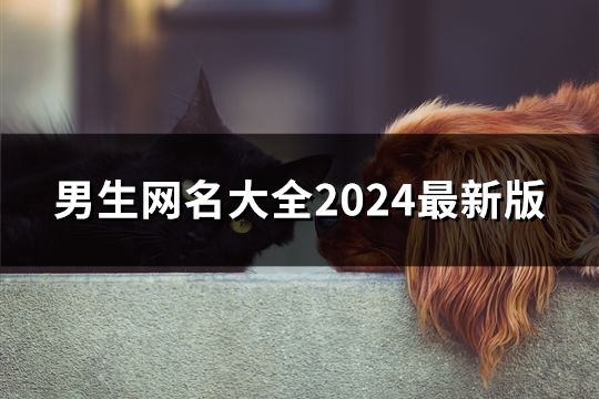 男生网名大全2024最新版(1568个)