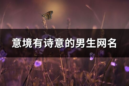 意境有诗意的男生网名(精选171个)