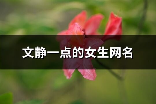 文静一点的女生网名(精选462个)