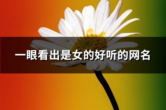 一眼看出是女的好听的网名(共184个)