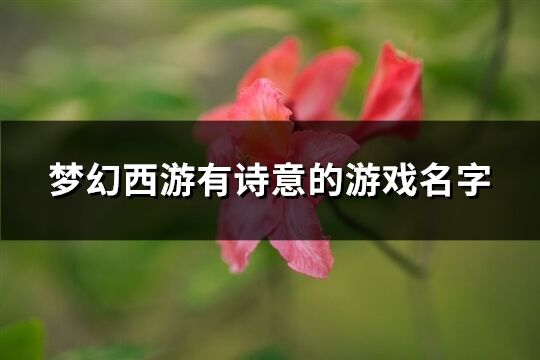 梦幻西游有诗意的游戏名字(精选535个)