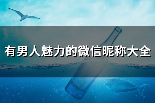 有男人魅力的微信昵称大全(共237个)