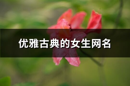 优雅古典的女生网名(精选244个)