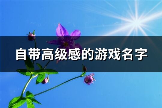 自带高级感的游戏名字(精选152个)