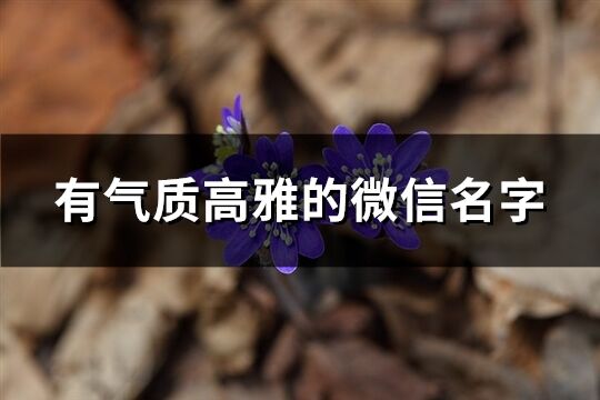 有气质高雅的微信名字(共1025个)