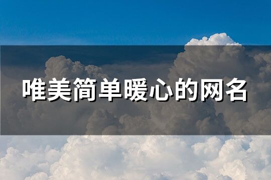 唯美简单暖心的网名(共196个)