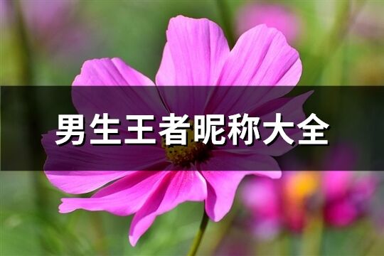 男生王者昵称大全(198个)