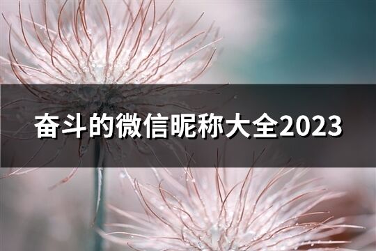 奋斗的微信昵称大全2023(共65个)