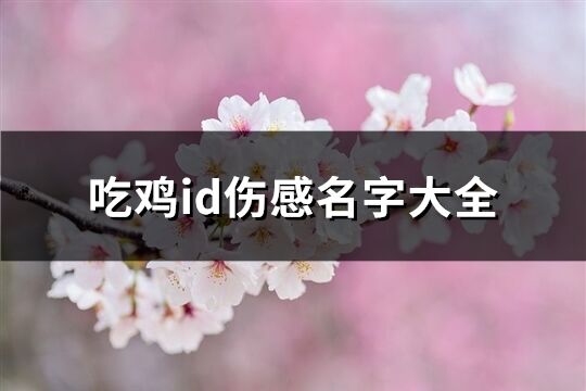 吃鸡id伤感名字大全(共257个)