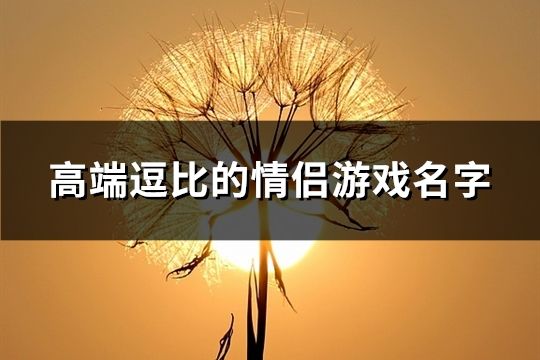 高端逗比的情侣游戏名字(精选128个)