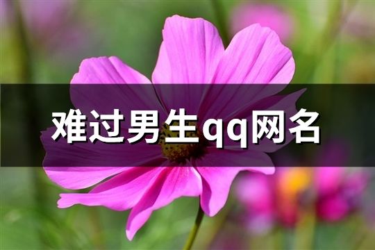 难过男生qq网名(116个)