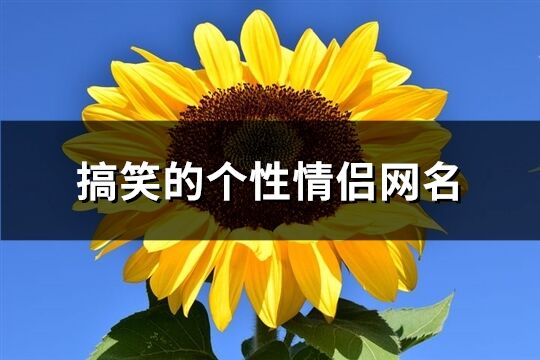 搞笑的个性情侣网名(85个)