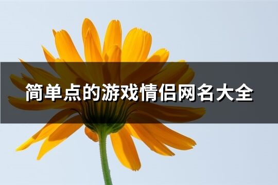 简单点的游戏情侣网名大全(共94个)