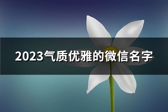 2023气质优雅的微信名字(共2628个)