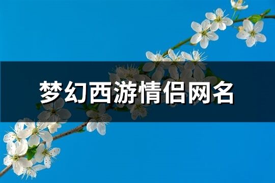 梦幻西游情侣网名(共64个)