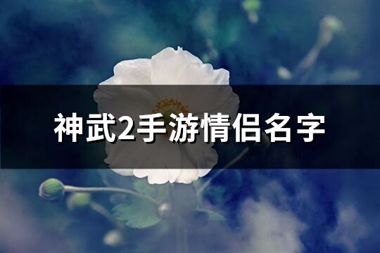 神武2手游情侣名字(精选77个)