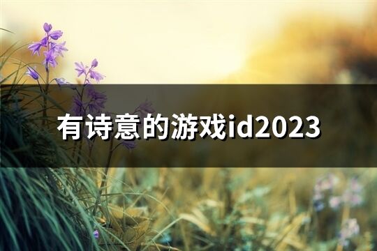 有诗意的游戏id2023(共656个)