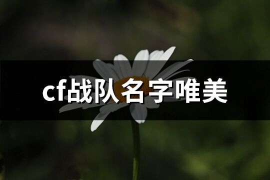 cf战队名字唯美(共135个)