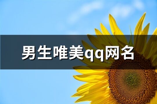 男生唯美qq网名(共368个)