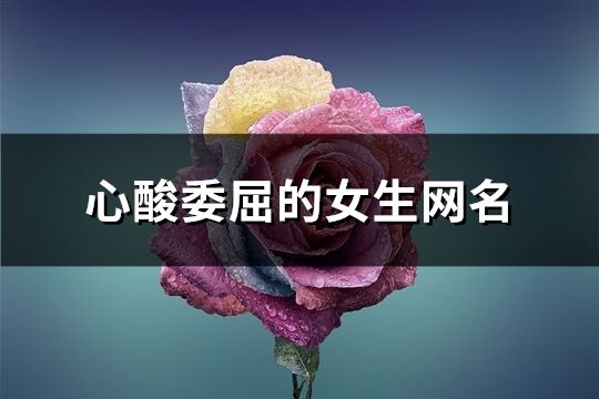 心酸委屈的女生网名(共279个)