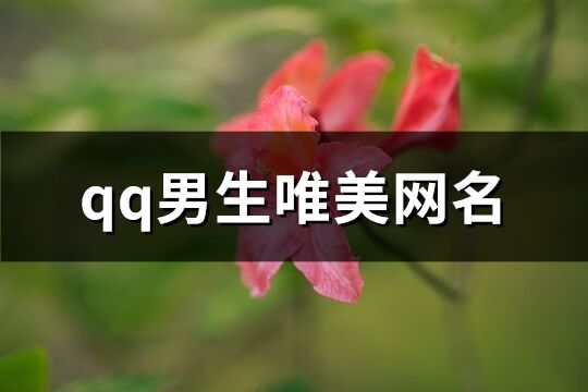 qq男生唯美网名(精选363个)