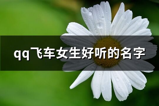 qq飞车女生好听的名字(共311个)