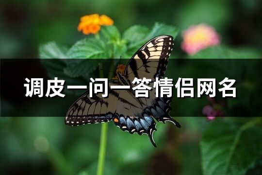 调皮一问一答情侣网名(共64个)