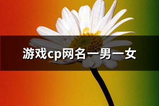 游戏cp网名一男一女(共381个)