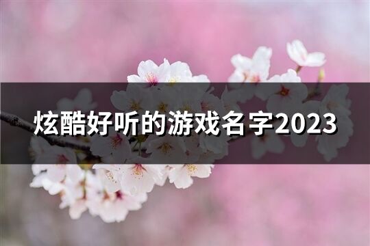 炫酷好听的游戏名字2023(共61个)