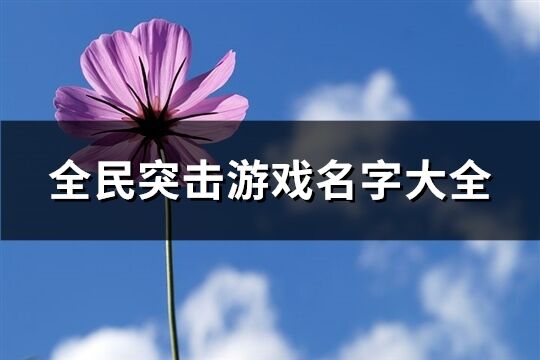 全民突击游戏名字大全(精选419个)