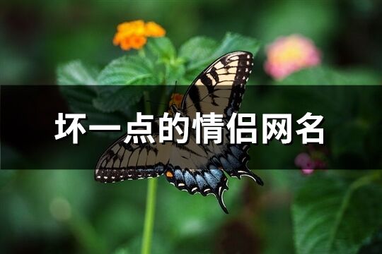 坏一点的情侣网名(共95个)