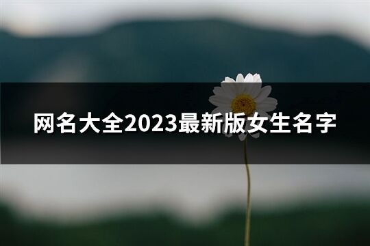 网名大全2023最新版女生名字(精选765个)