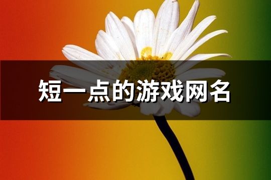 短一点的游戏网名(精选61个)